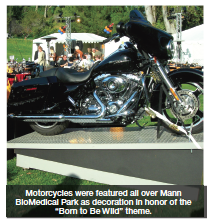 Born to be wild 3